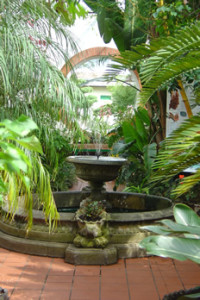 Fountain in the Subtropical House
