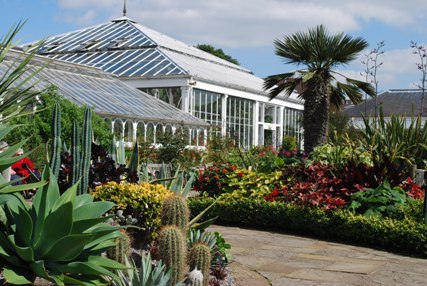 Photoshoot Bookings - Birmingham Botanical Gardens