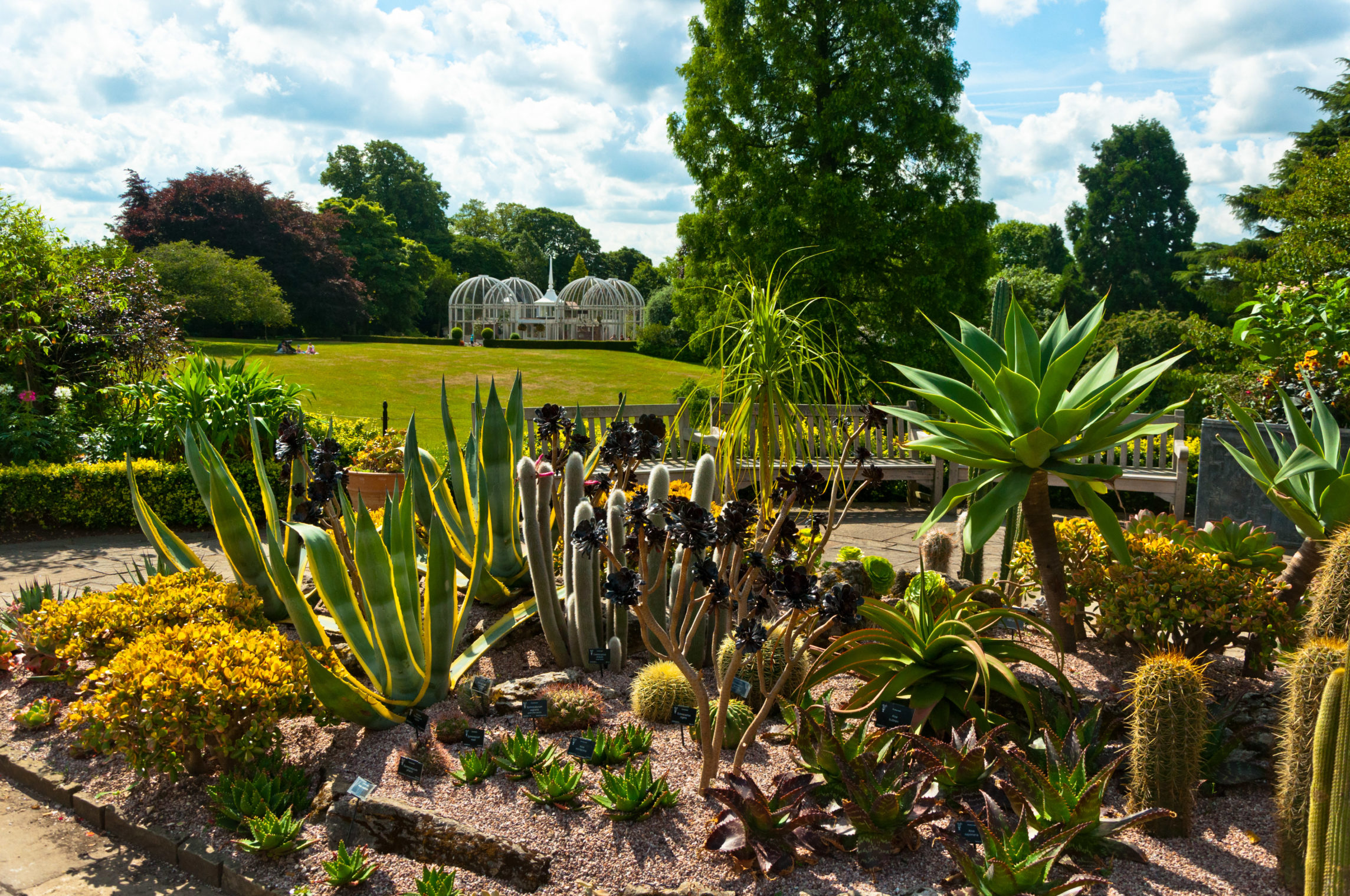 Guided Tour: Heritage and History of Birmingham Botanical Gardens