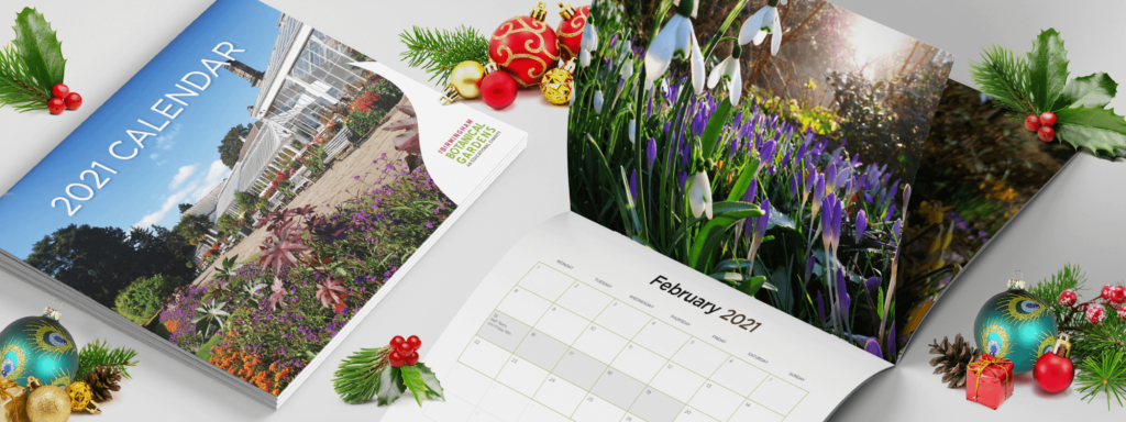 Birmingham Botanical Gardens 2021 Calendar