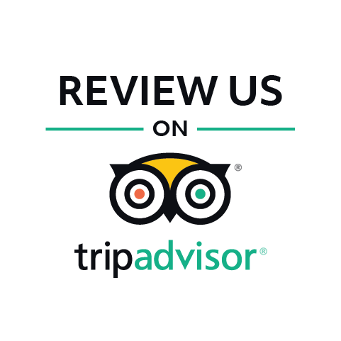 Review us on trip advisor