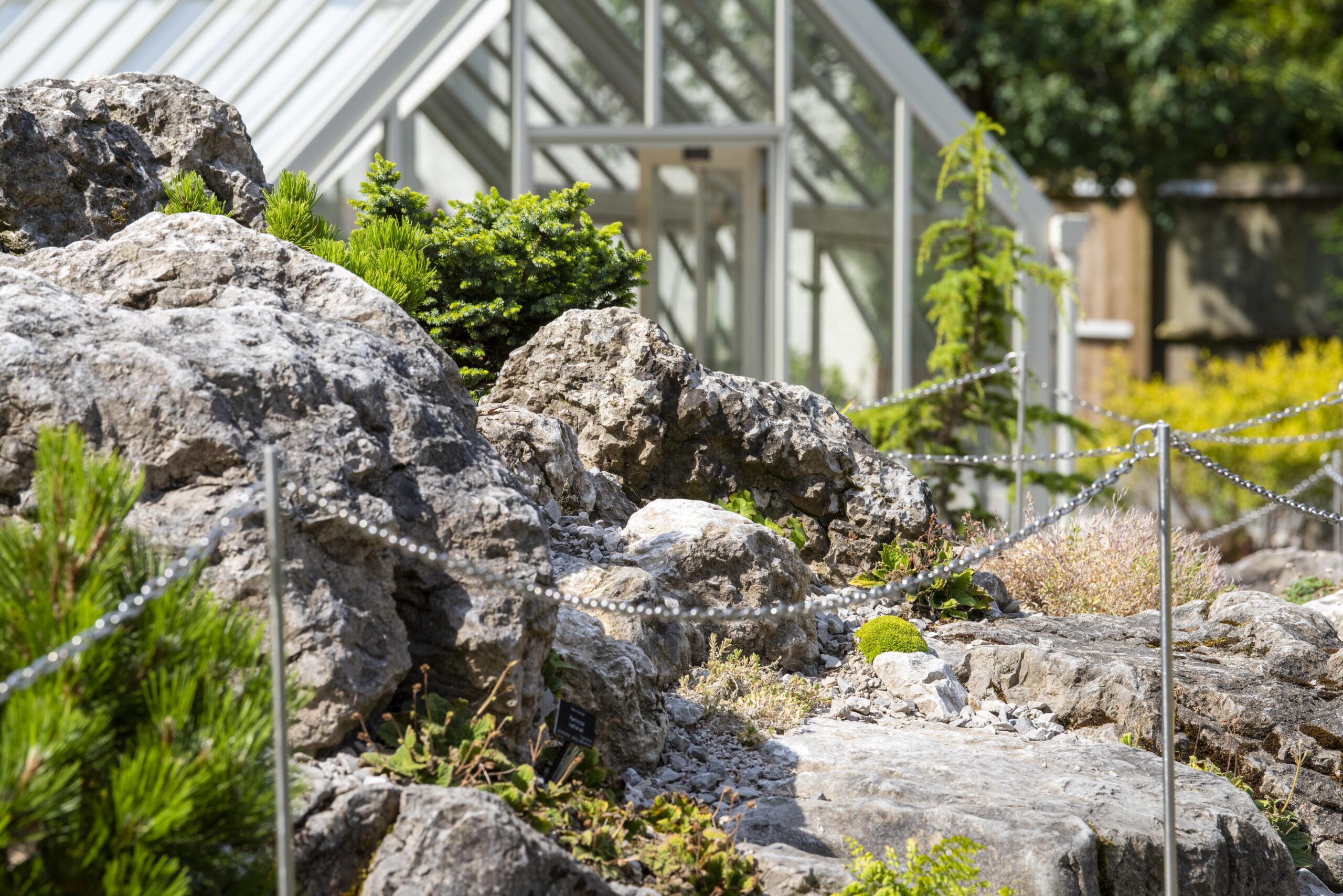 Close-up of rocks and shrubs near the Alpine House