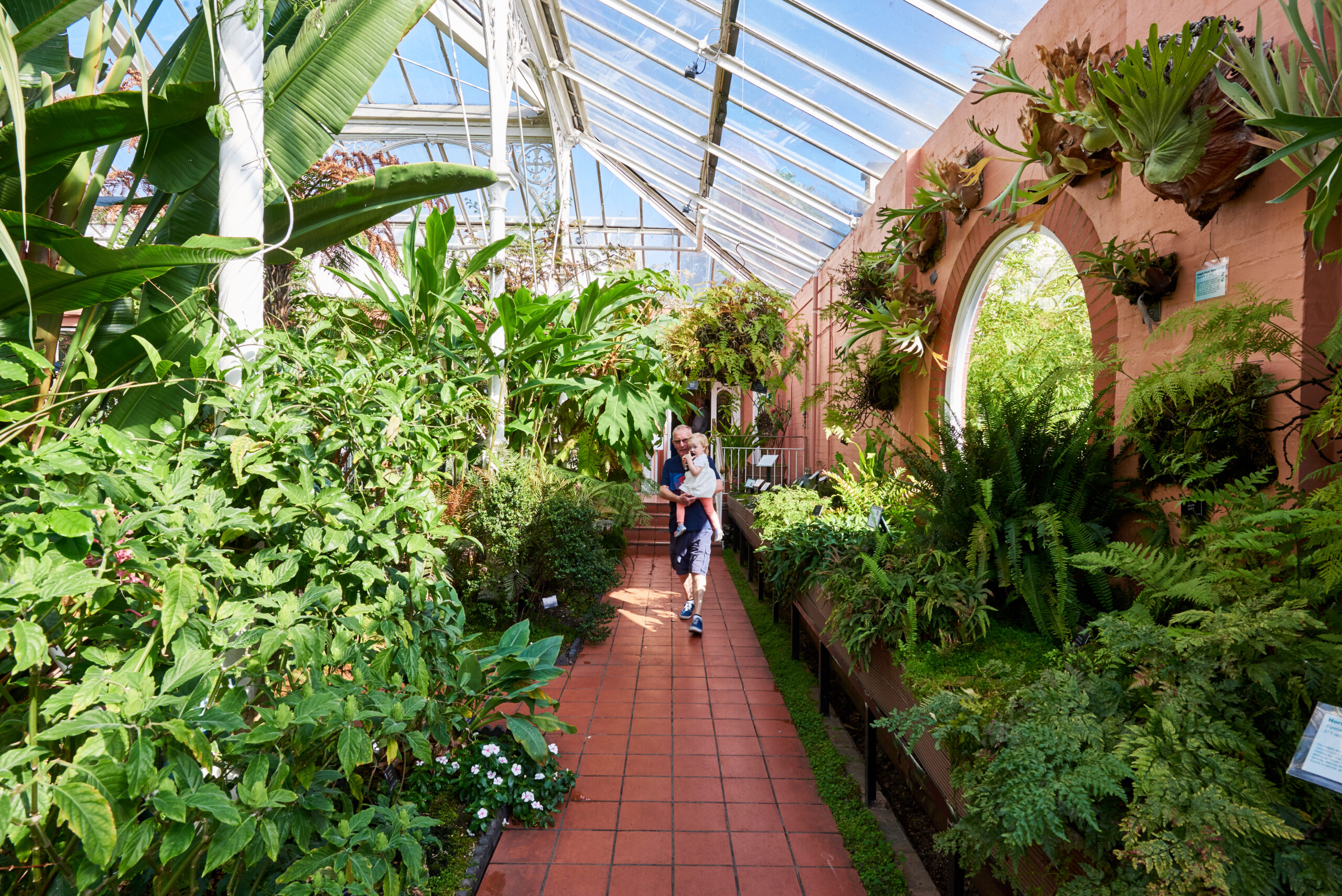 Adult carrying baby walks through the Subtropical House 