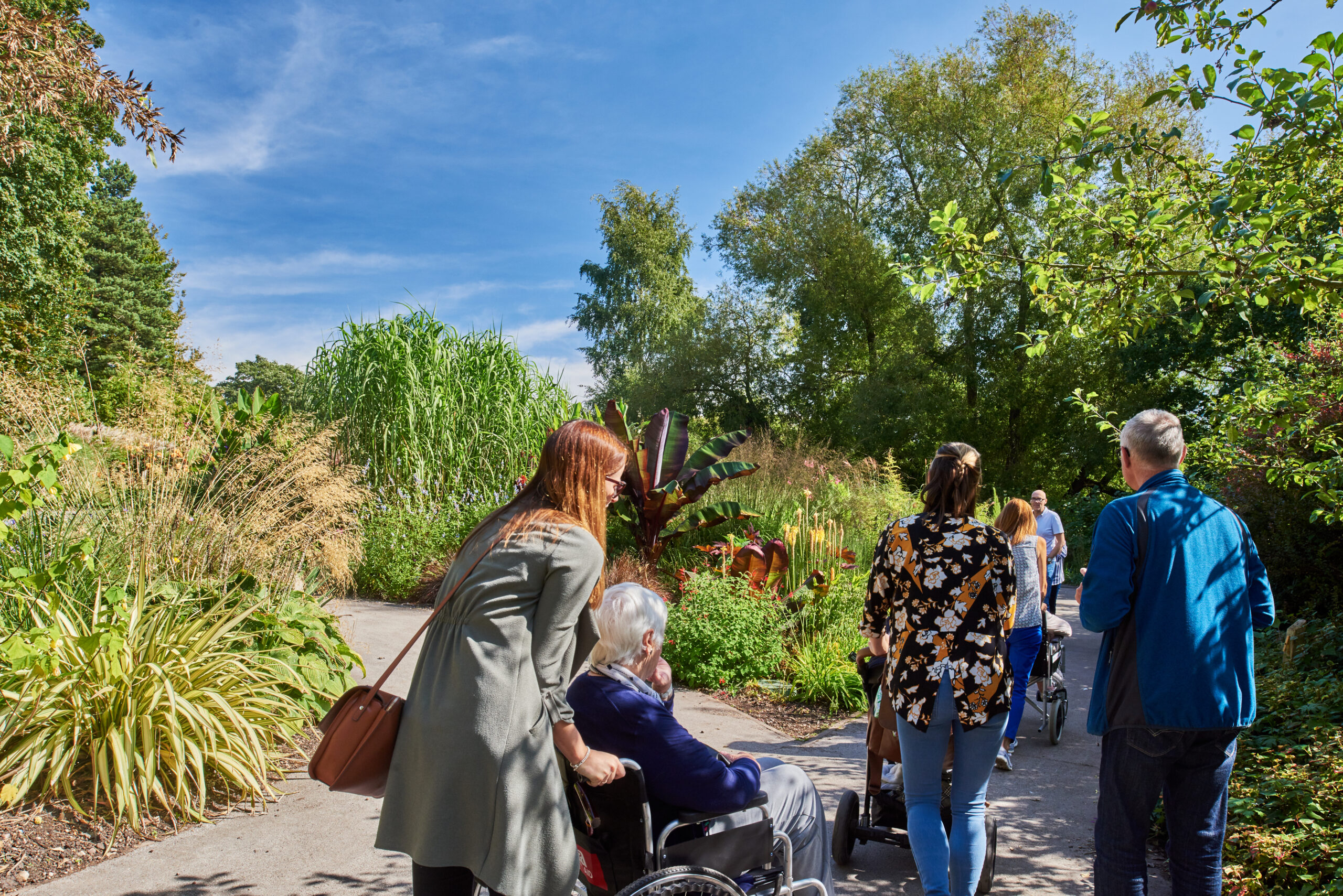 People travelling down a path in the in the Gardens
