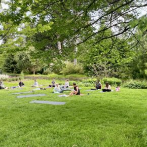 Gardens Yoga: Morning Practice